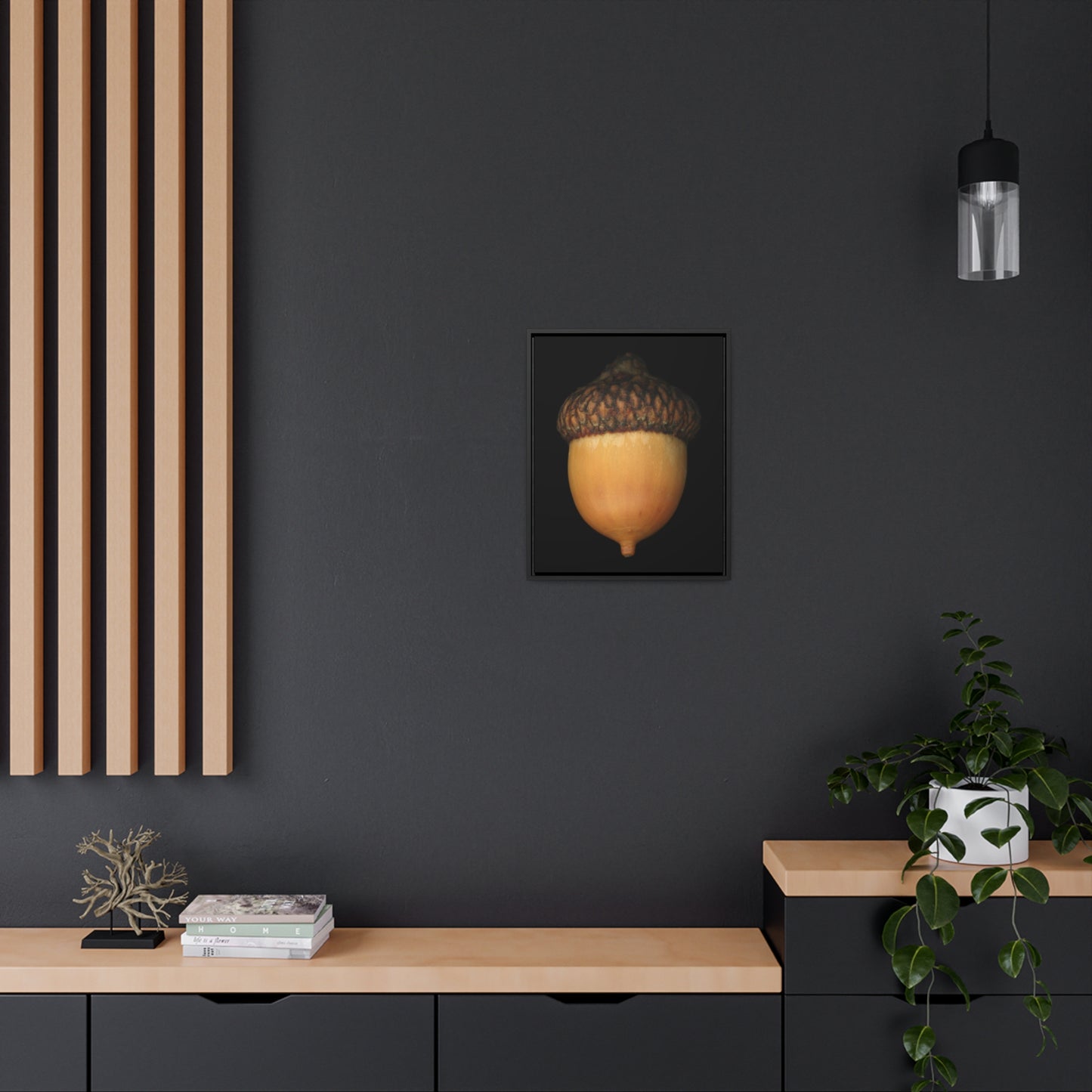 Acorn | Framed Wrap Canvas | Black Background