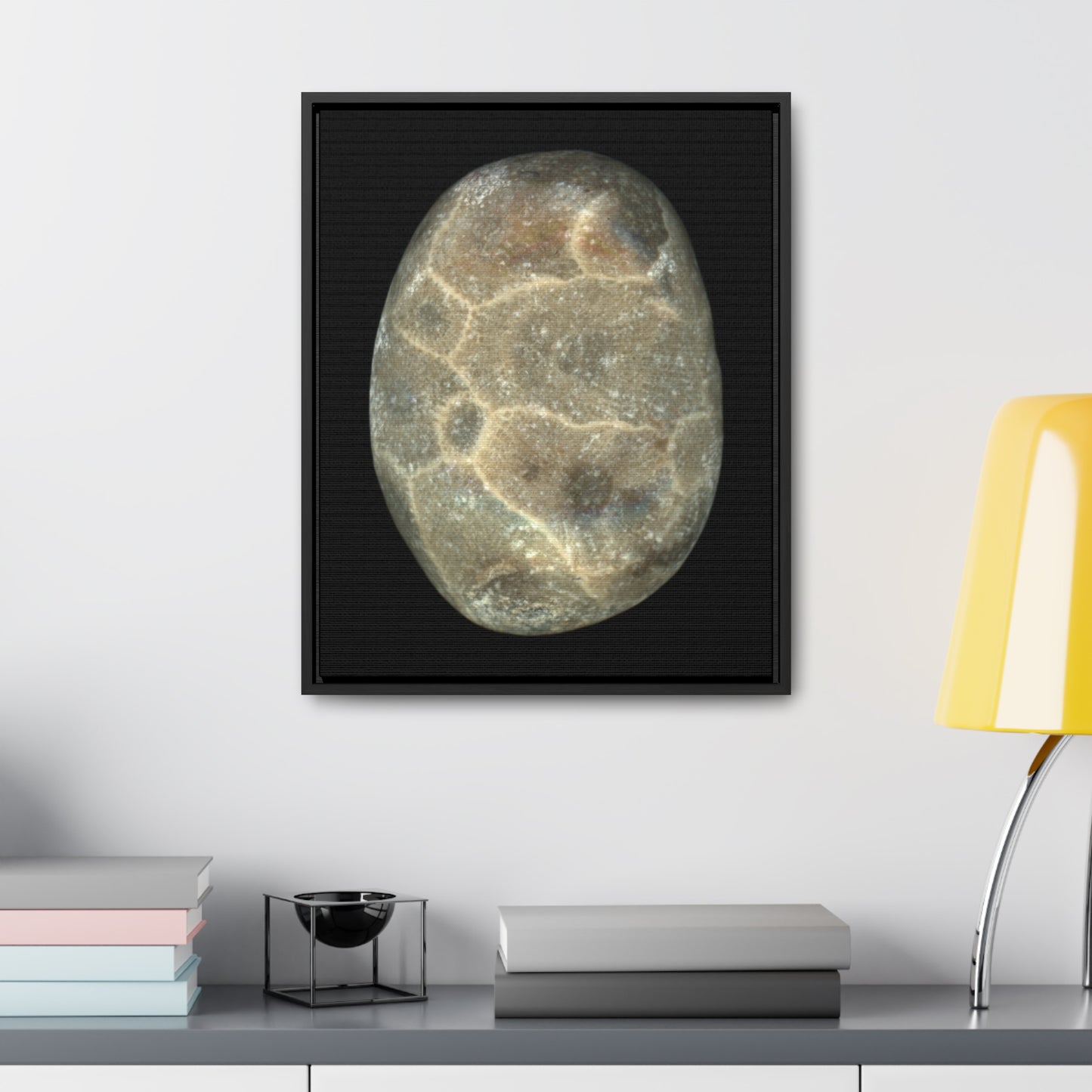 Petoskey Stone | Framed Wrap Canvas | Black Background