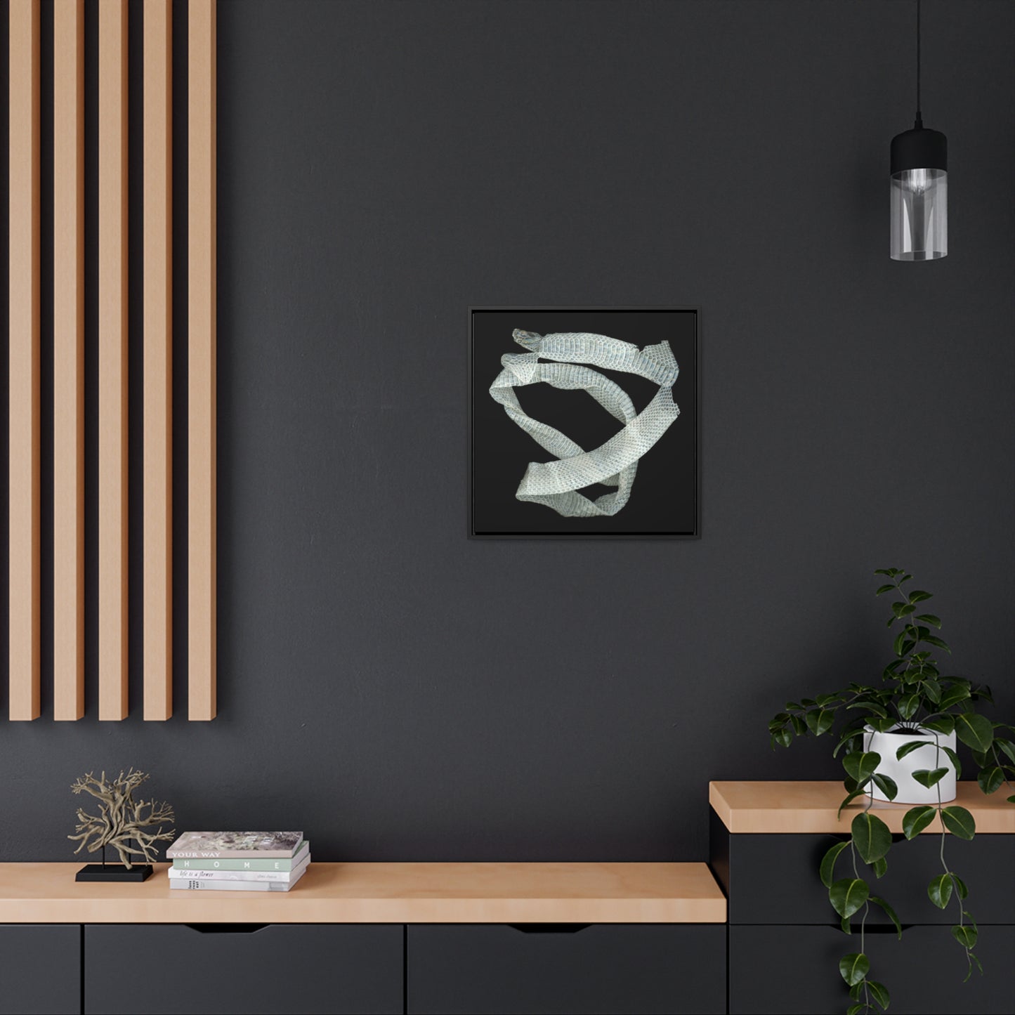Mexican Milk Snake Shed Skin | Framed Canvas | Black Background