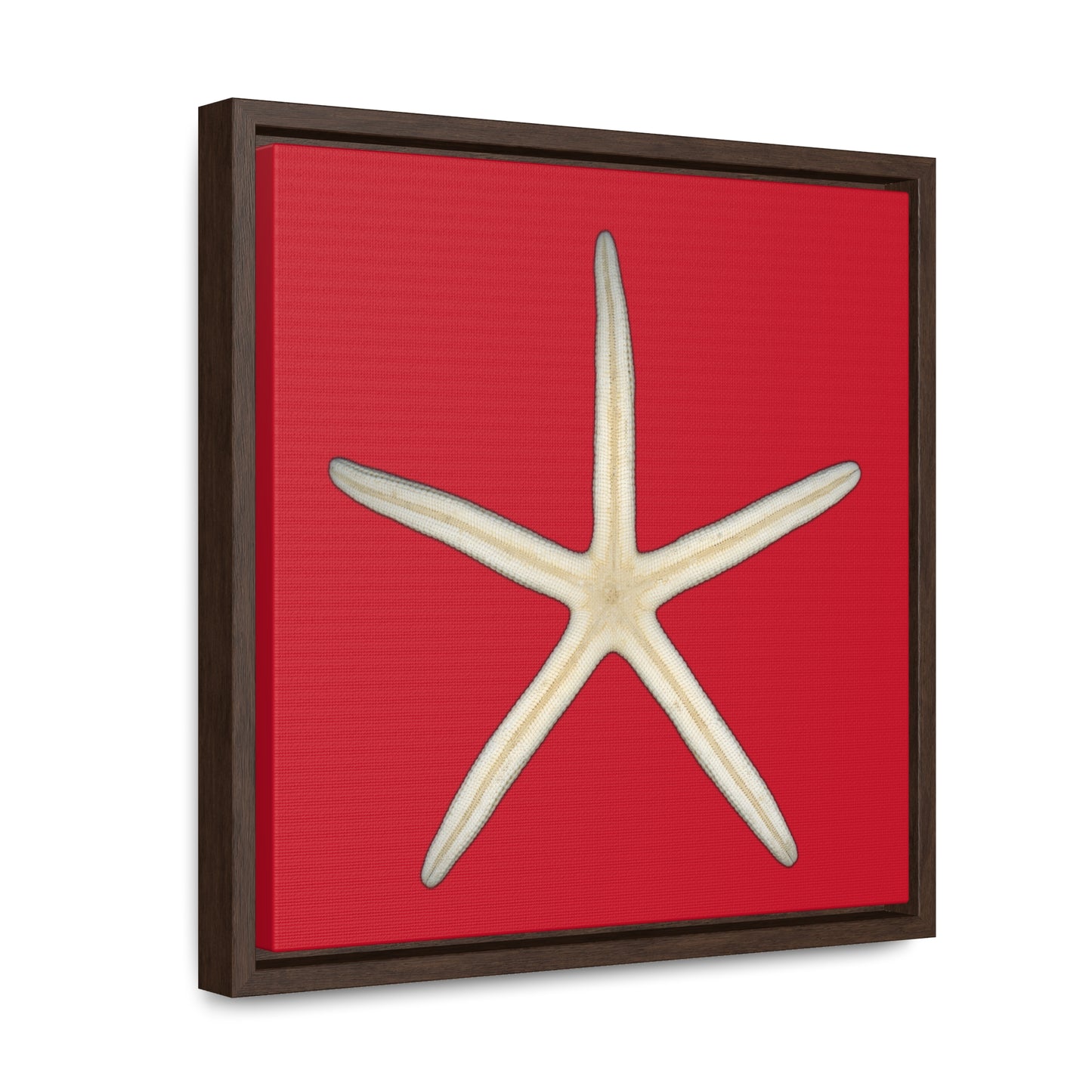 Finger Starfish Shell Bottom | Framed Canvas | Red Background