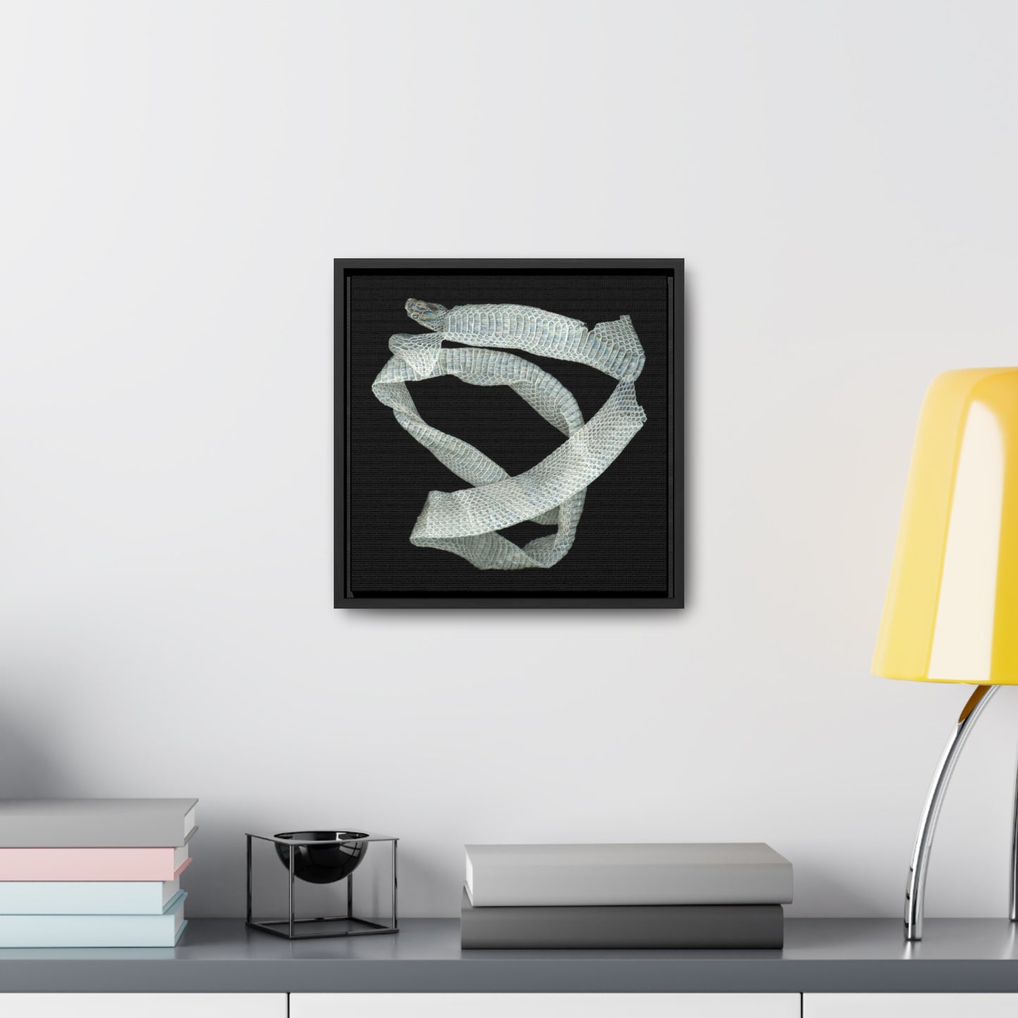 Mexican Milk Snake Shed Skin | Framed Canvas | Black Background