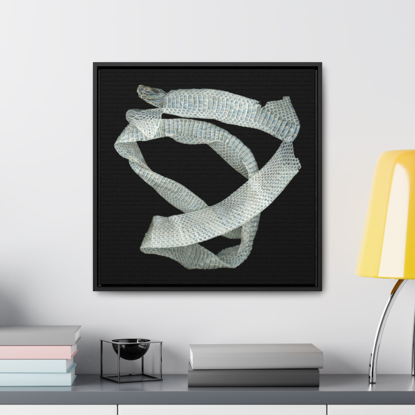 Mexican Milk Snake Shed Skin | Framed Canvas | Black Background