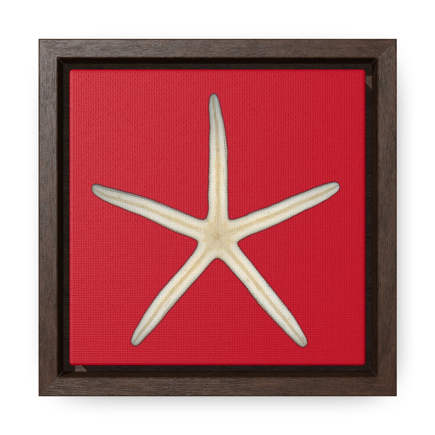 Finger Starfish Shell Bottom | Framed Canvas | Red Background