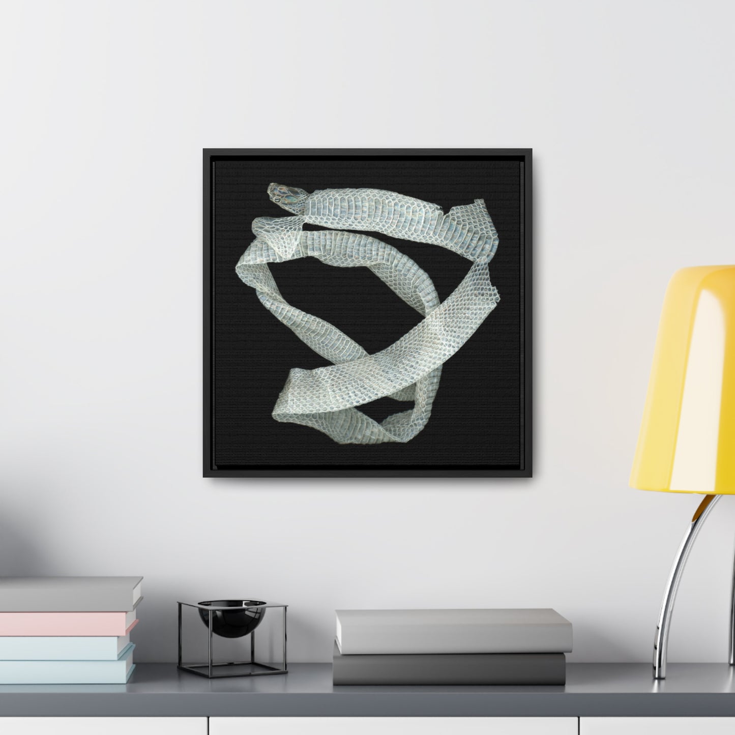 Mexican Milk Snake Shed Skin | Framed Canvas | Black Background