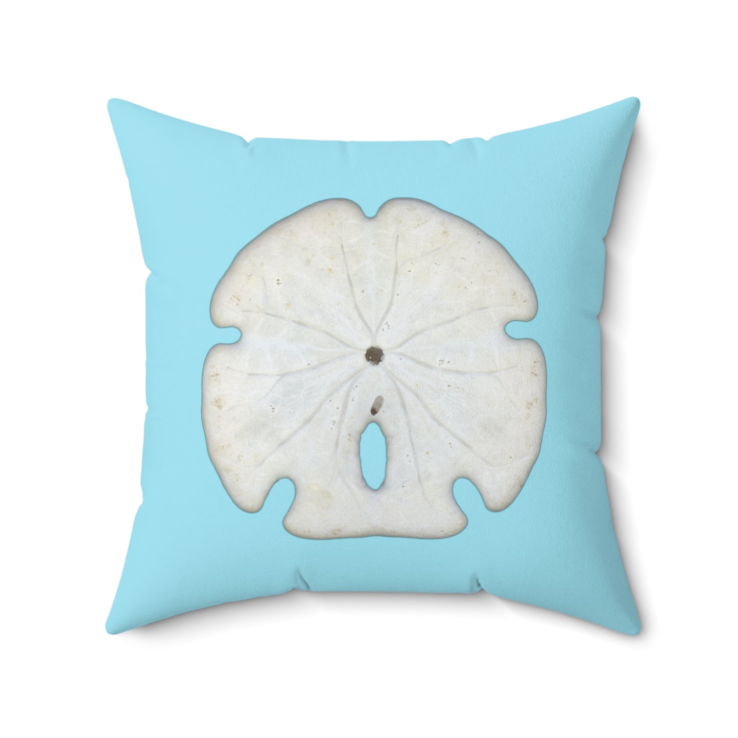 Throw Pillow | Arrowhead Sand Dollar Shell | Sky Blue | Back | 20x20 Oceancore Seacore Naturecore