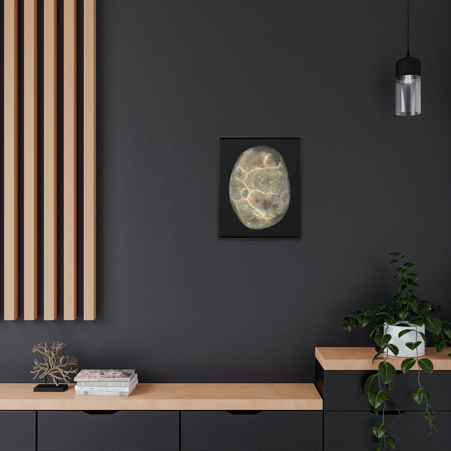 Petoskey Stone | Framed Wrap Canvas | Black Background
