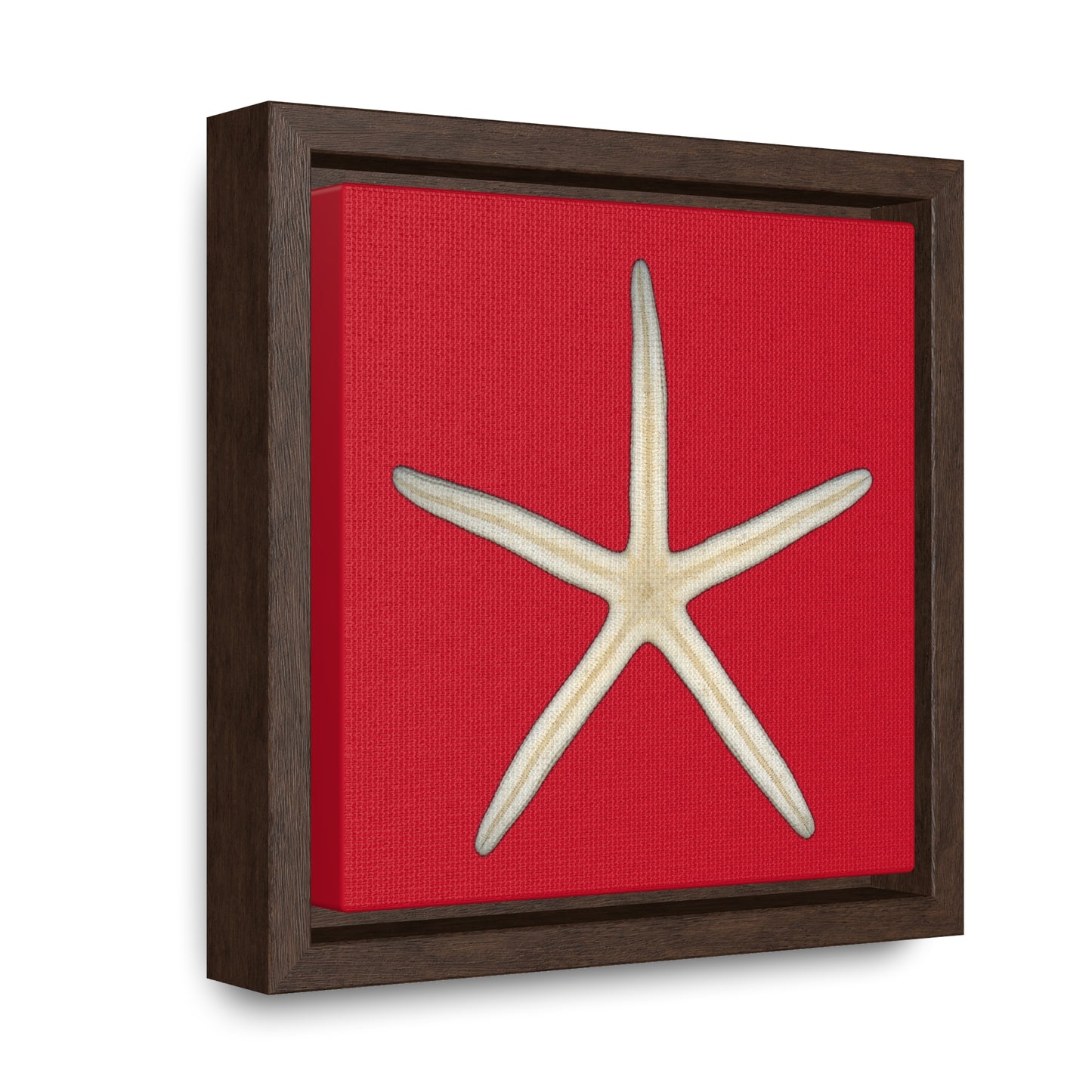 Finger Starfish Shell Bottom | Framed Canvas | Red Background