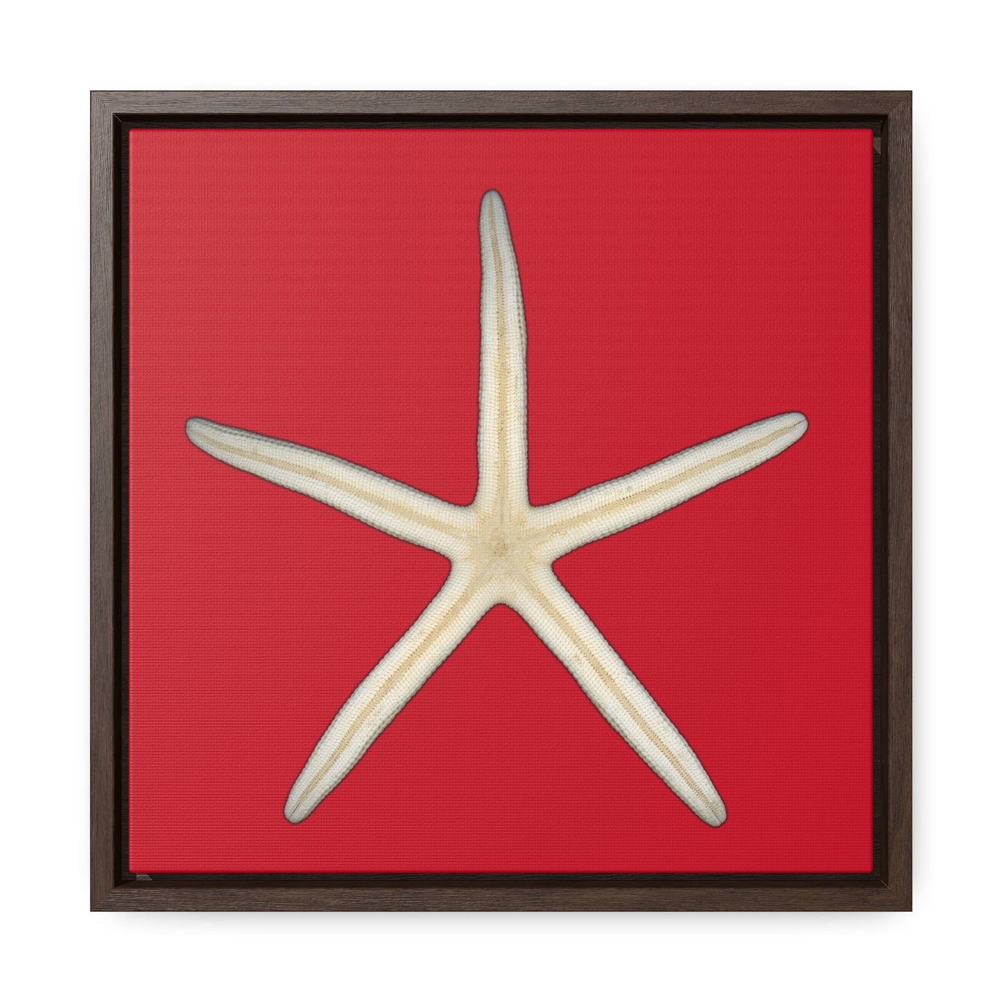 Finger Starfish Shell Bottom | Framed Canvas | Red Background