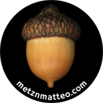 Acorn by Matteo | Pinback Button | 1in