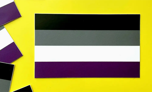 Asexual Pride Flag | Vinyl Sticker