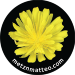 Hawkweed Flower | Magnet | 1in