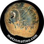 Moon Snail Shell Black & Rust Apical | Magnet | 1in