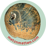 Moon Snail Shell Black & Rust Apical | Magnet | 1in