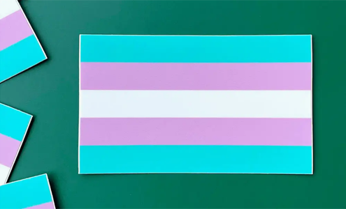 Transgender Pride Flag | Vinyl Sticker