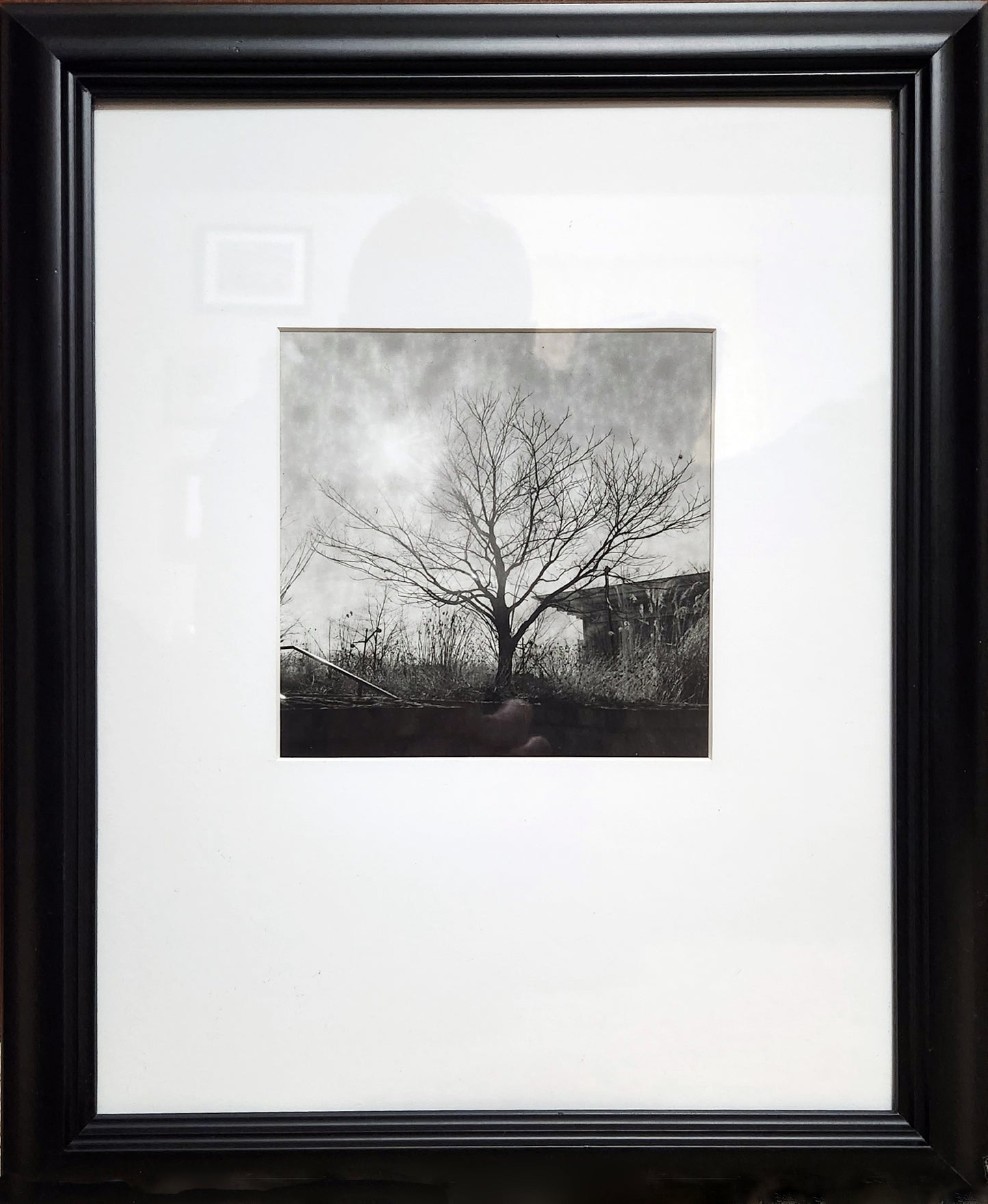 Tree, Building 2015 by Matteo
