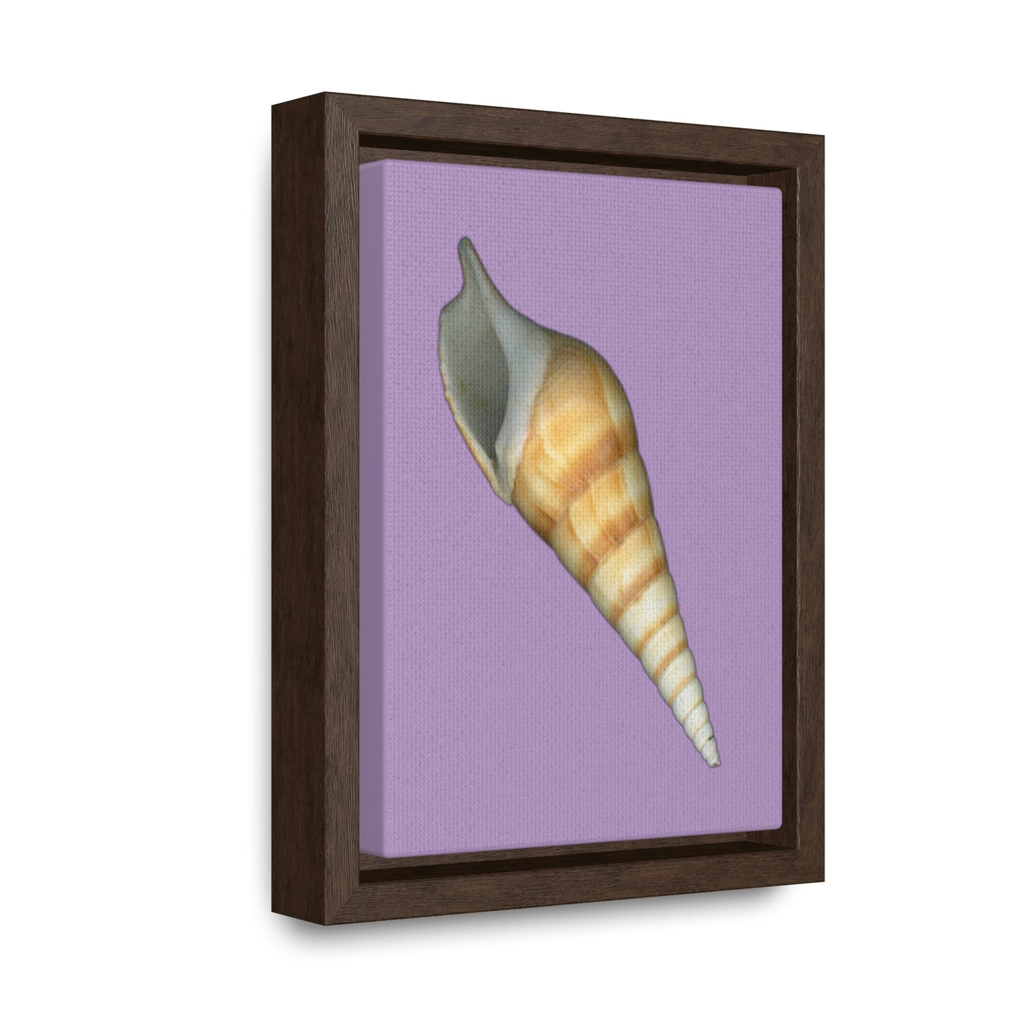 Turrid Shell Tan Apertural | Framed Canvas | Lavender Background