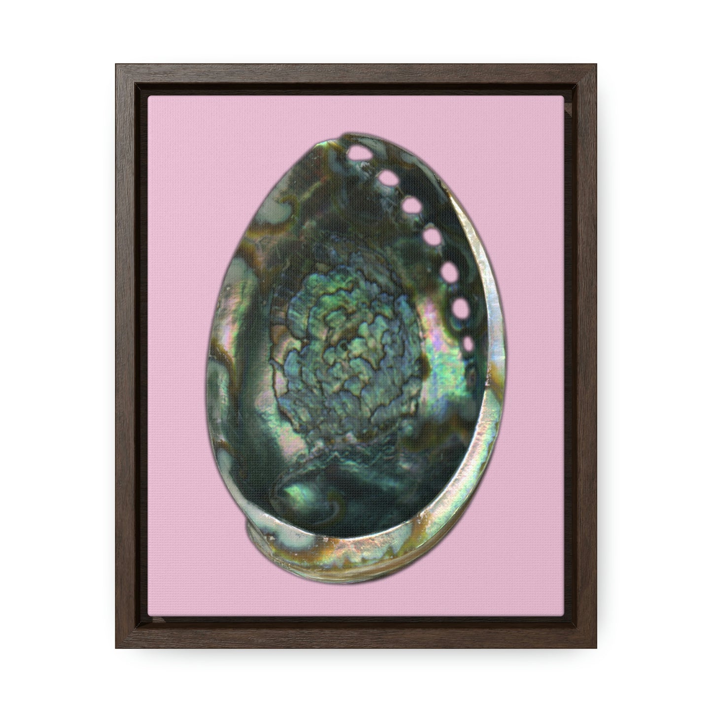 Abalone Shell Interior | Framed Canvas | Orchid Pink Background