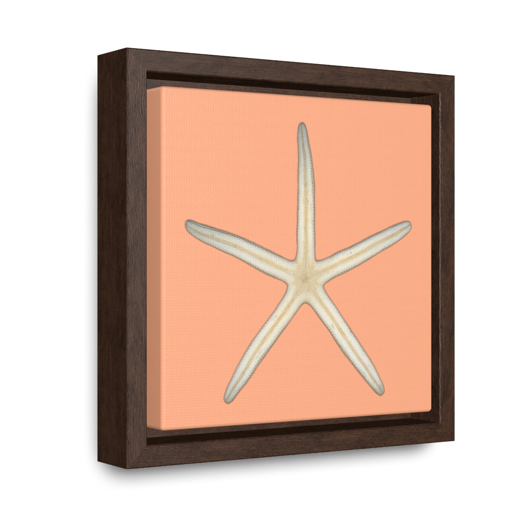 Finger Starfish Shell Bottom | Framed Canvas | Peach Background