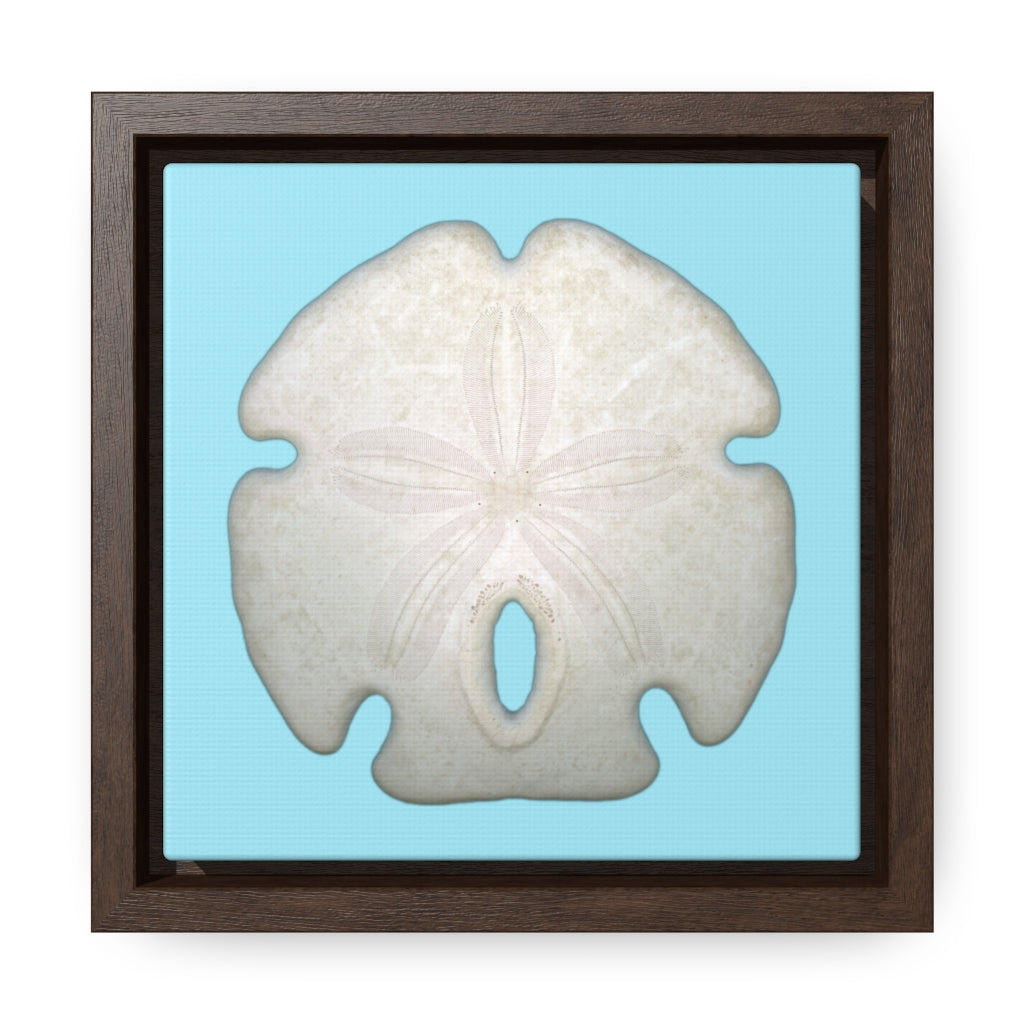 Arrowhead Sand Dollar Shell Top | Framed Canvas | Sky Blue Background