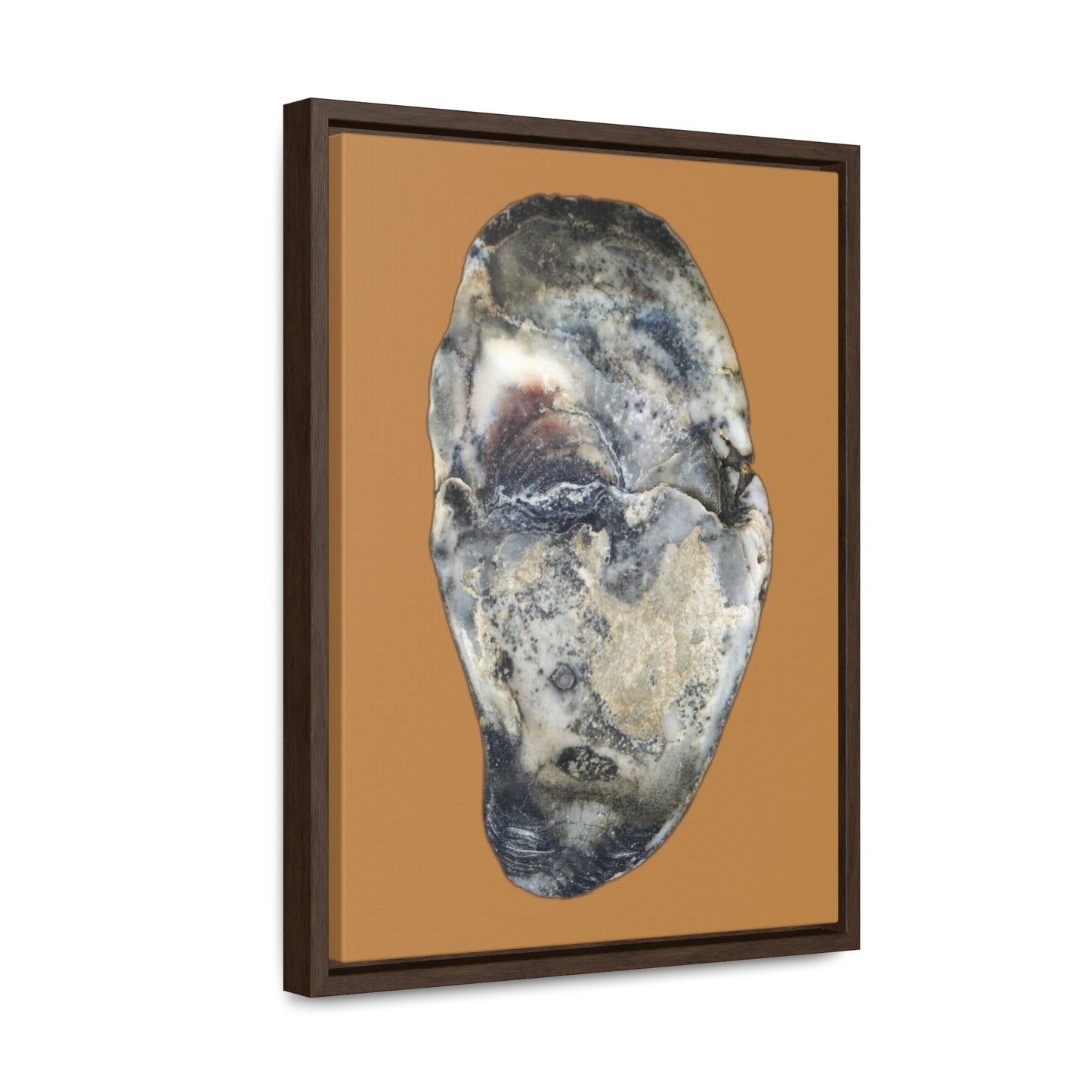 Oyster Shell Blue Right Interior | Framed Canvas | Camel Brown Background