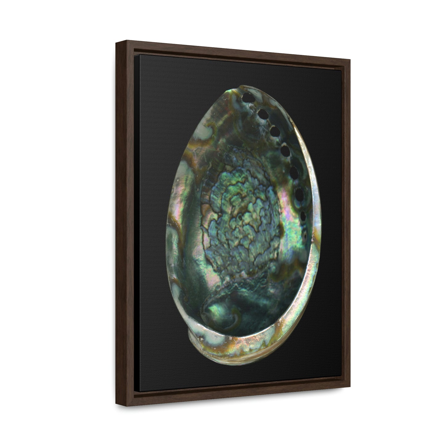 Abalone Shell Interior | Framed Canvas | Black Background