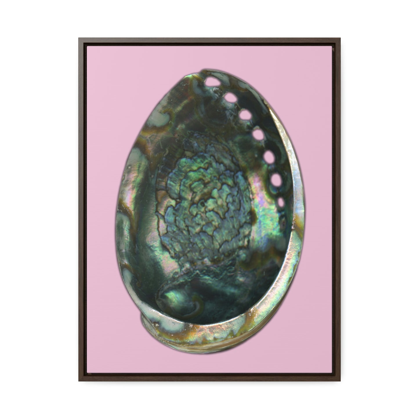 Abalone Shell Interior | Framed Canvas | Orchid Pink Background