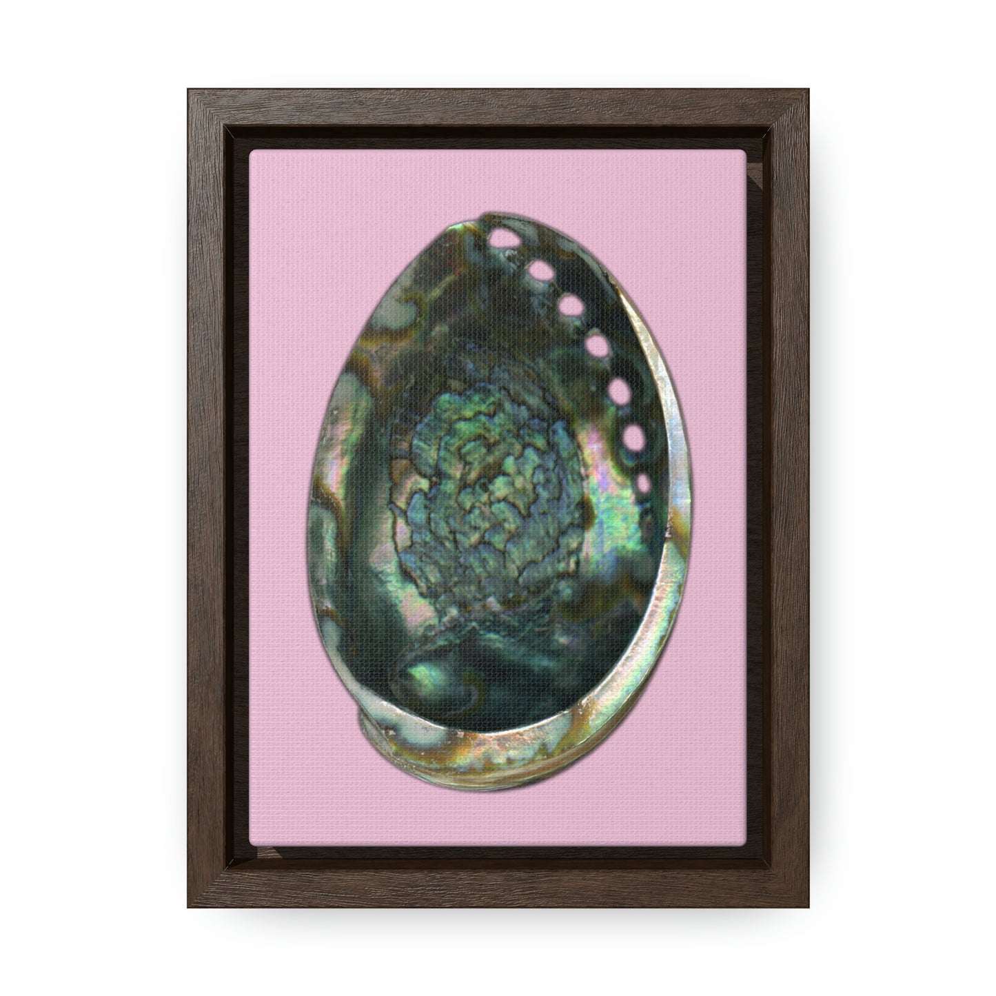 Abalone Shell Interior | Framed Canvas | Orchid Pink Background