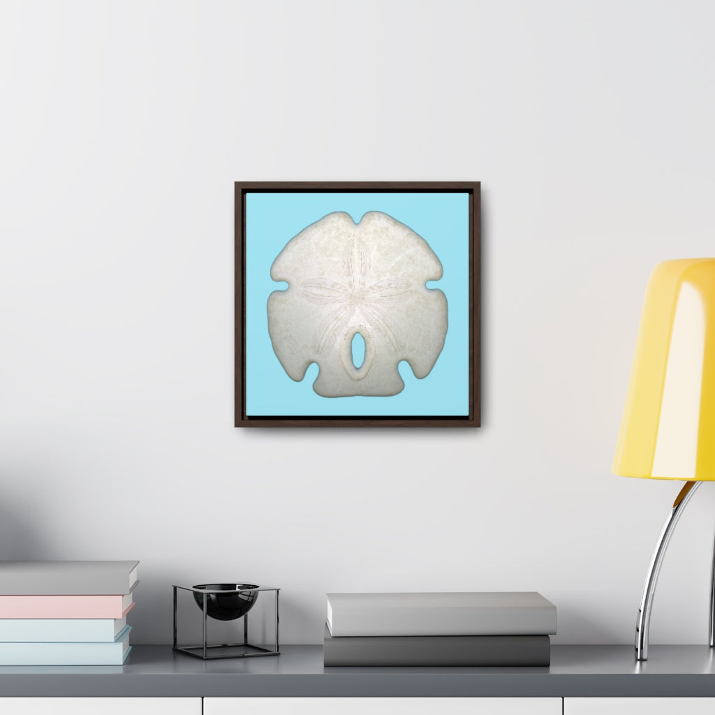 Arrowhead Sand Dollar Shell Top | Framed Canvas | Sky Blue Background