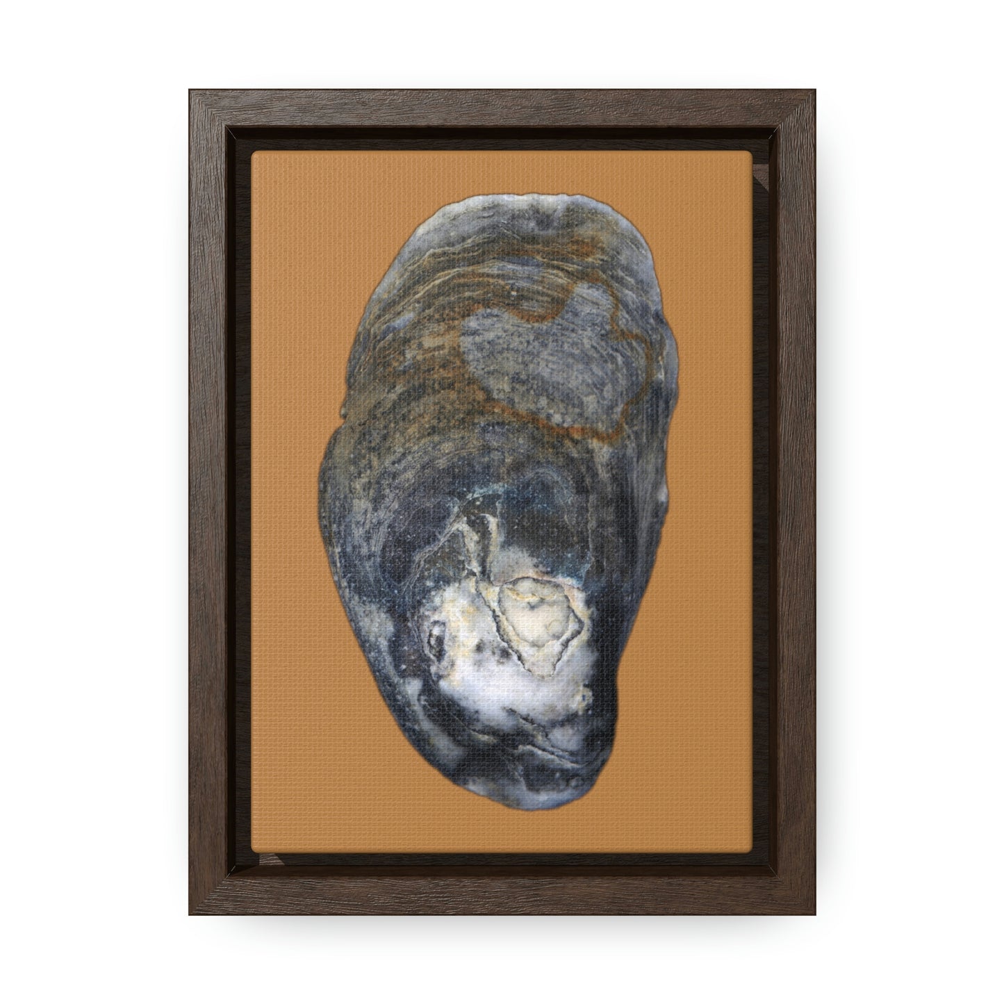 Oyster Shell Blue Right Exterior | Framed Canvas | Camel Brown Background