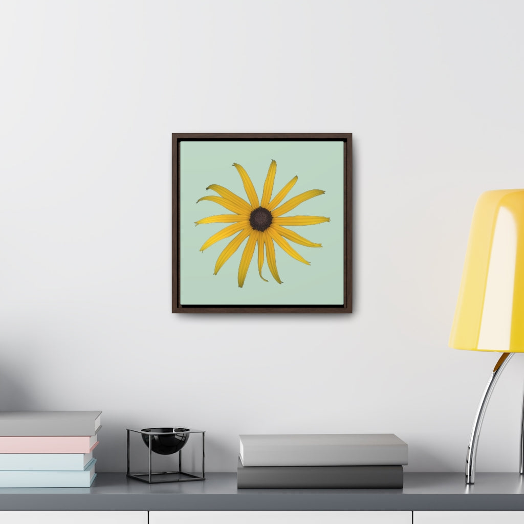 Black-eyed Susan Rudbeckia Flower Yellow | Framed Canvas | Sage Background