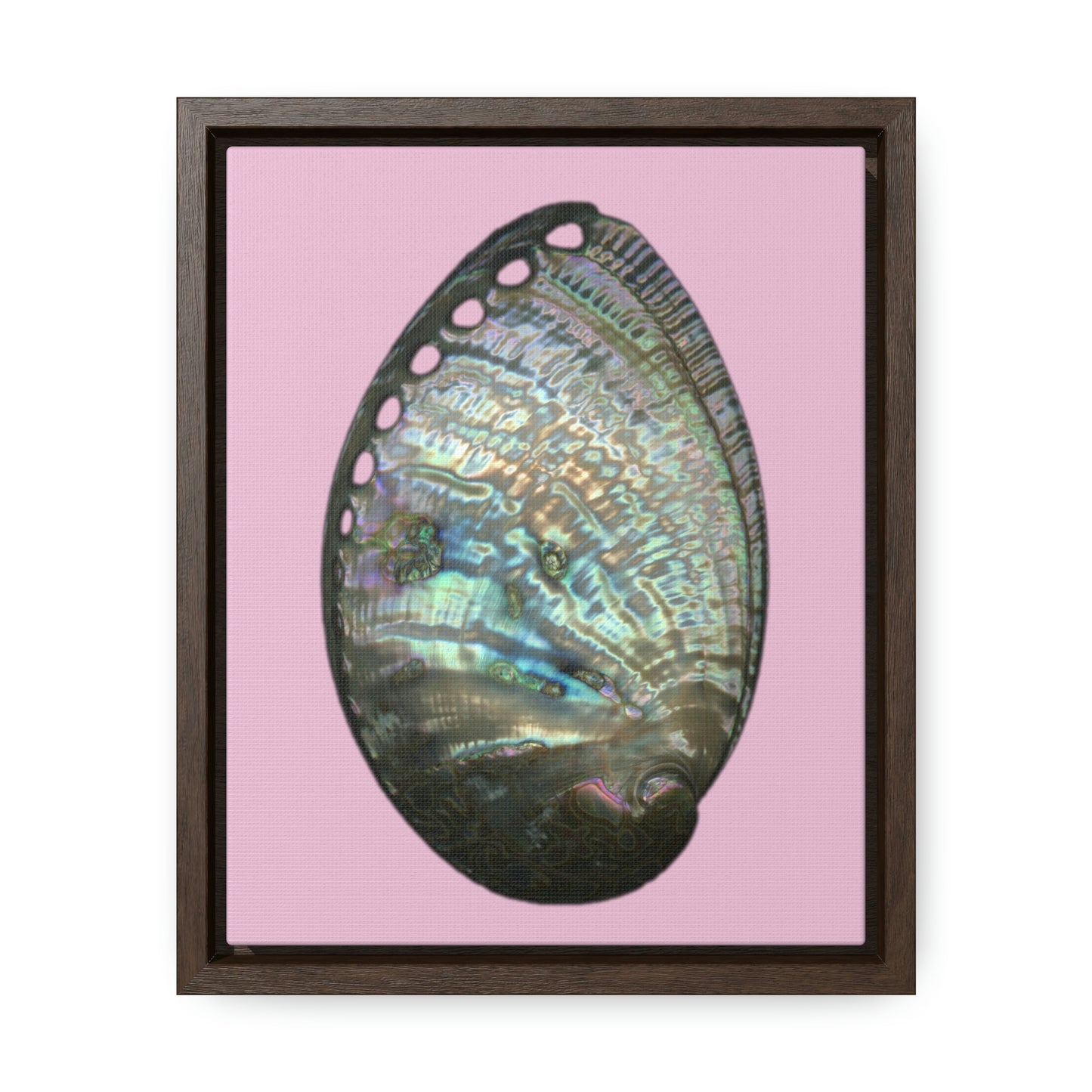 Abalone Shell Exterior | Framed Canvas | Orchid Pink Background
