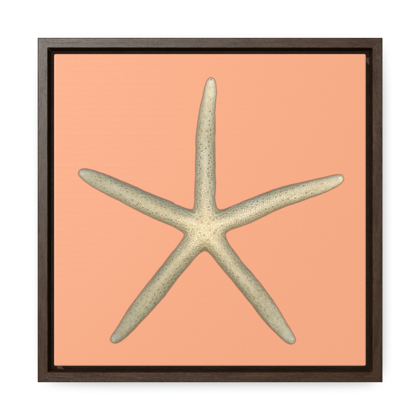 Finger Starfish Shell Top | Framed Canvas | Peach Background