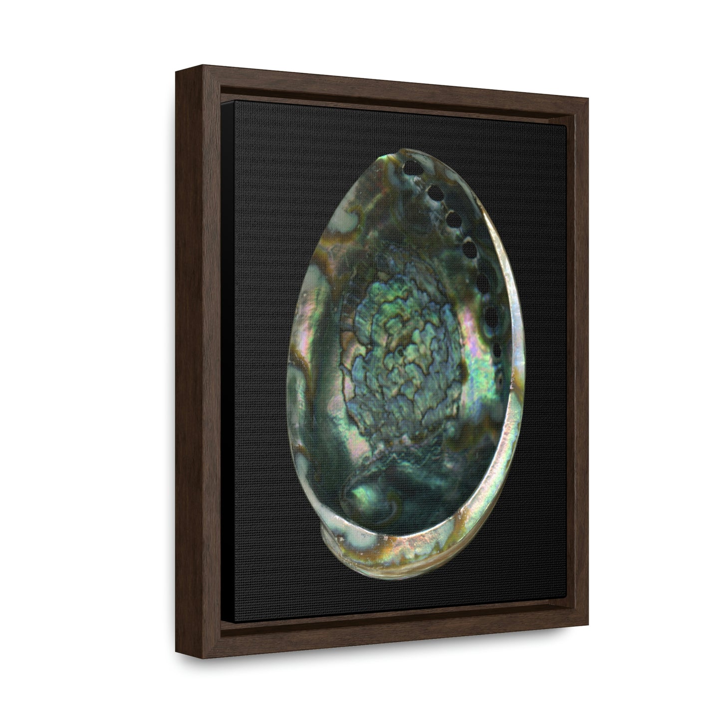Abalone Shell Interior | Framed Canvas | Black Background