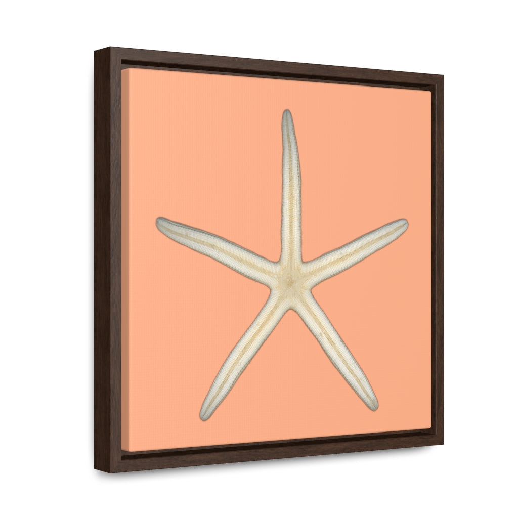 Finger Starfish Shell Bottom | Framed Canvas | Peach Background