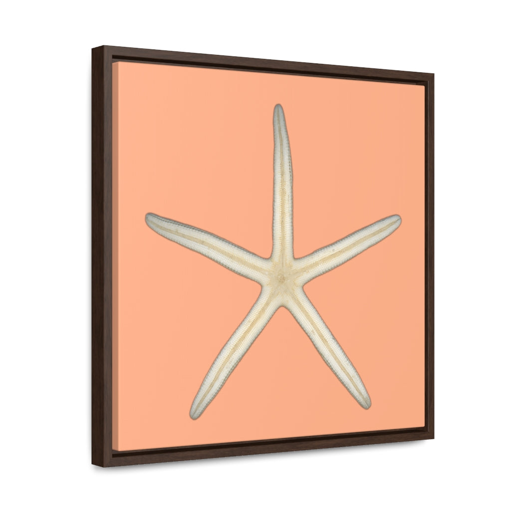 Finger Starfish Shell Bottom | Framed Canvas | Peach Background