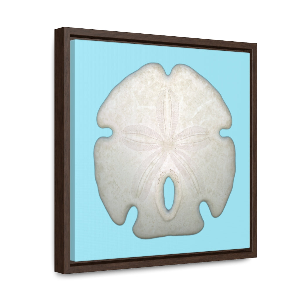 Arrowhead Sand Dollar Shell Top | Framed Canvas | Sky Blue Background