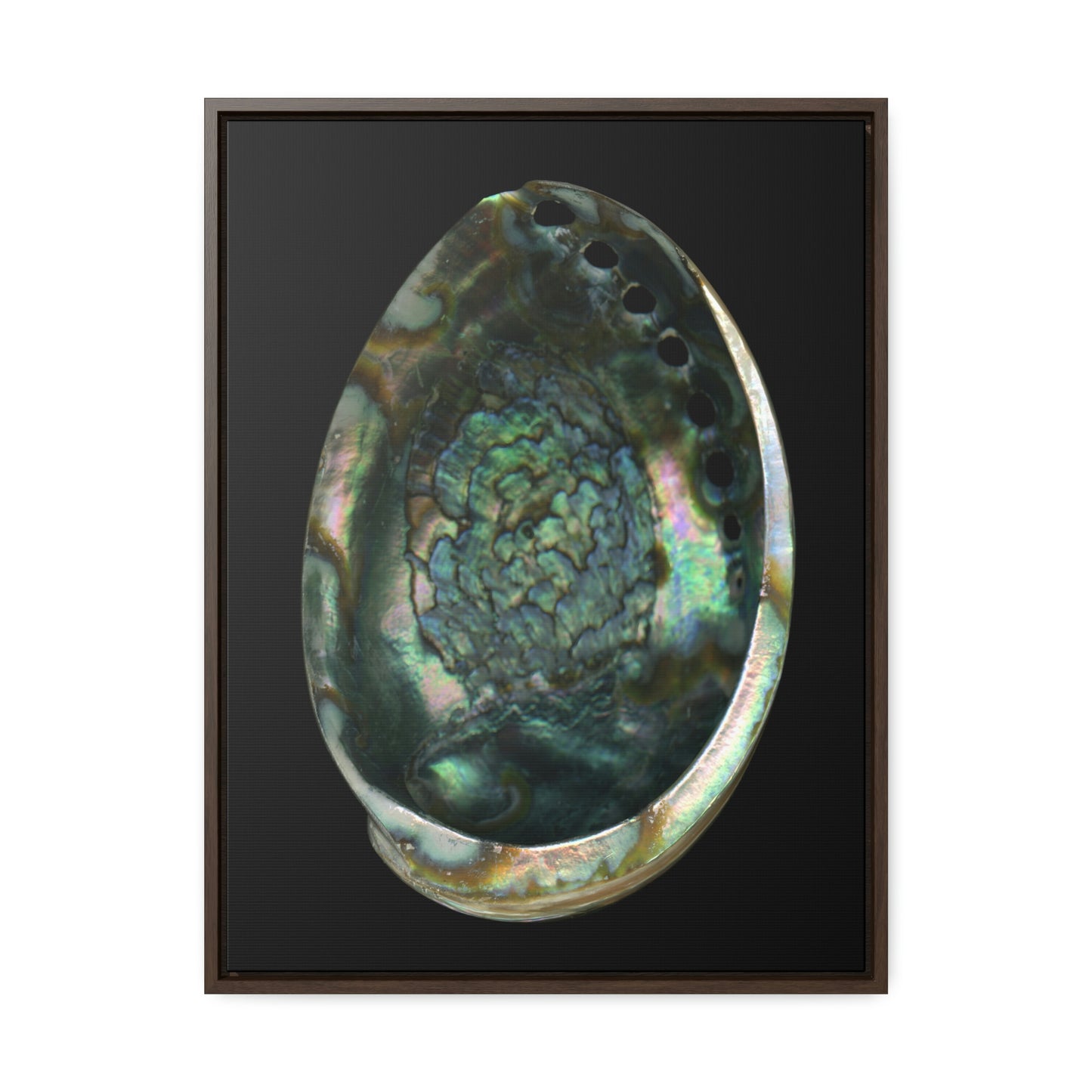 Abalone Shell Interior | Framed Canvas | Black Background