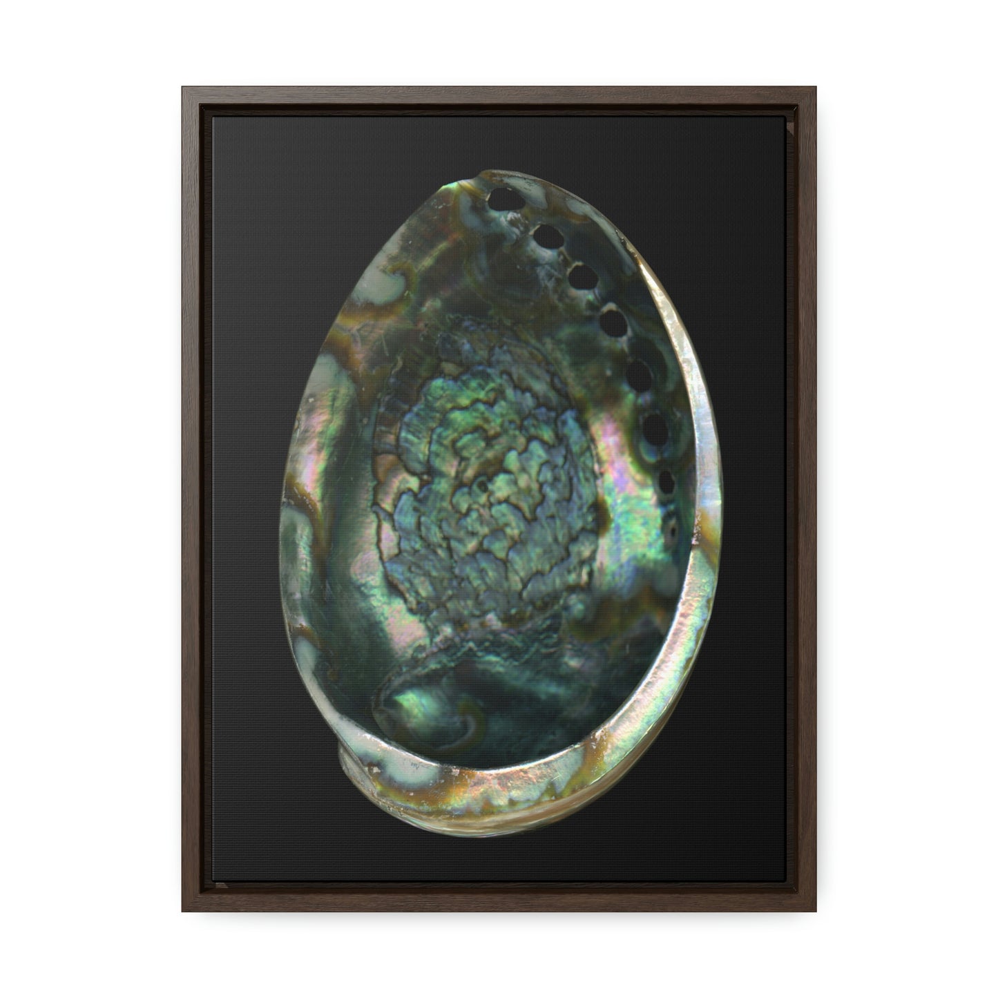 Abalone Shell Interior | Framed Canvas | Black Background