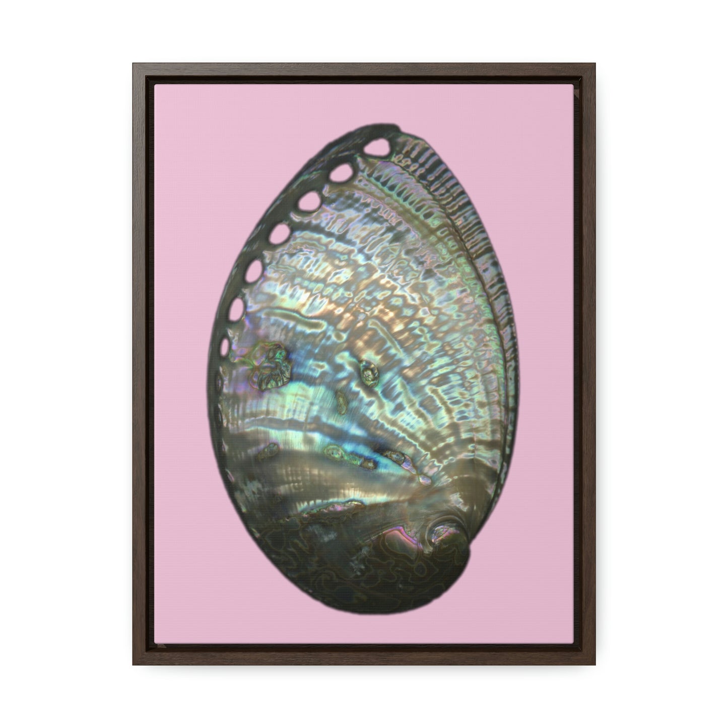 Abalone Shell Exterior | Framed Canvas | Orchid Pink Background