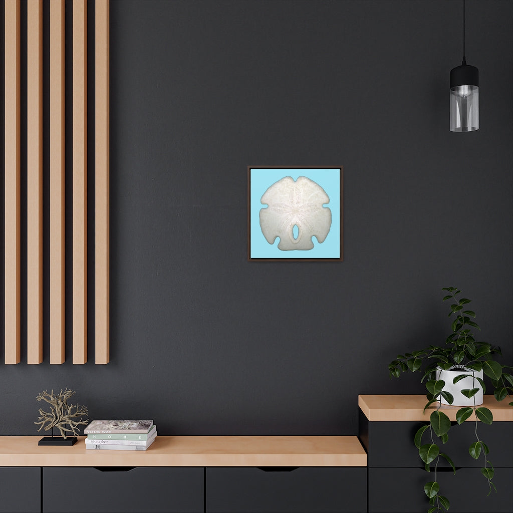 Arrowhead Sand Dollar Shell Top | Framed Canvas | Sky Blue Background