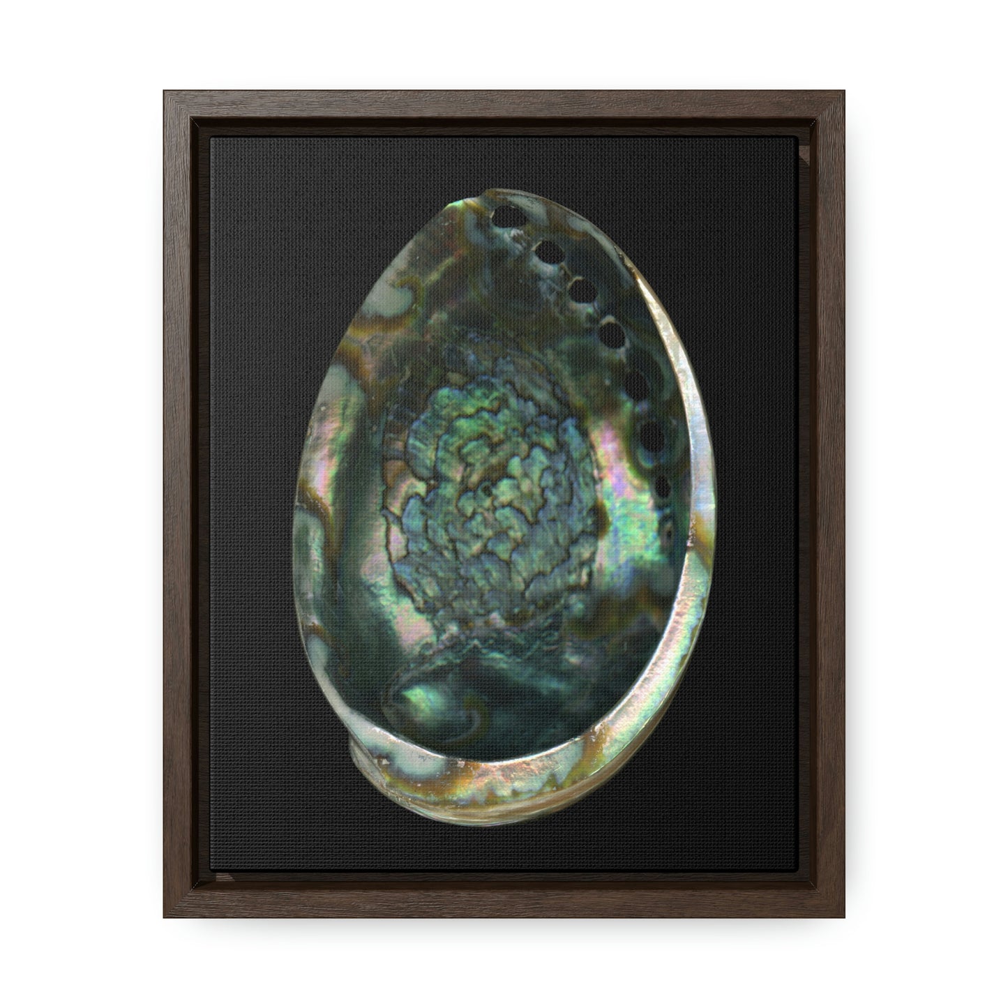 Abalone Shell Interior | Framed Canvas | Black Background