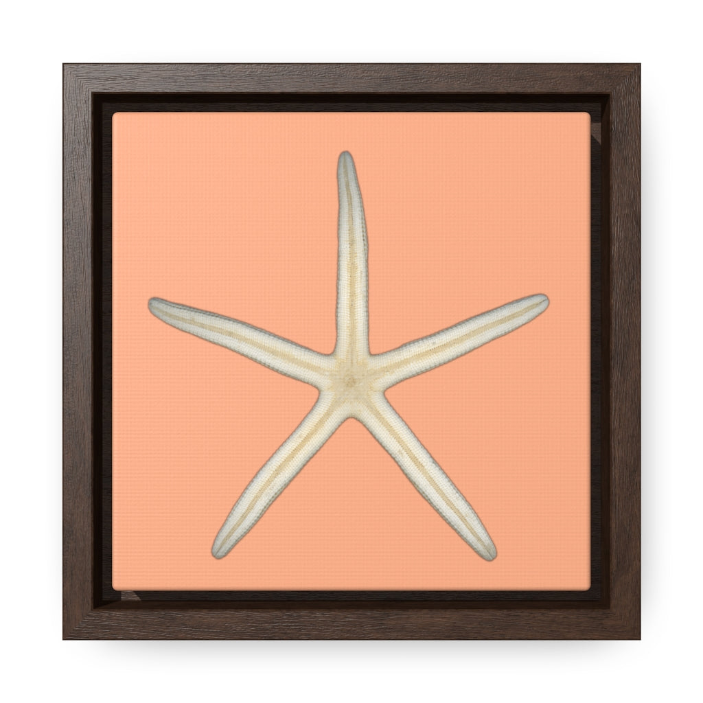 Finger Starfish Shell Bottom | Framed Canvas | Peach Background