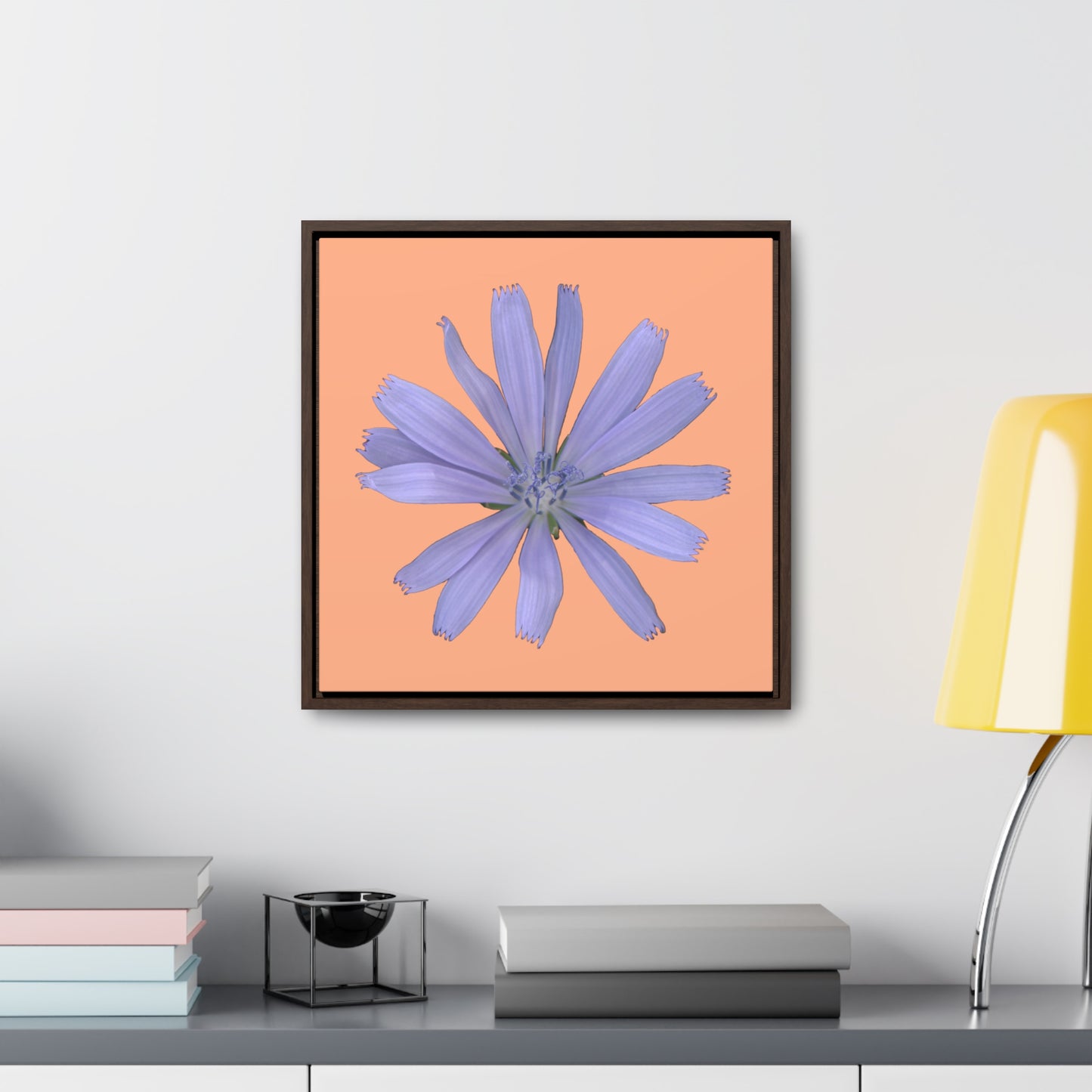 Chicory Flower Blue | Framed Canvas | Peach Background