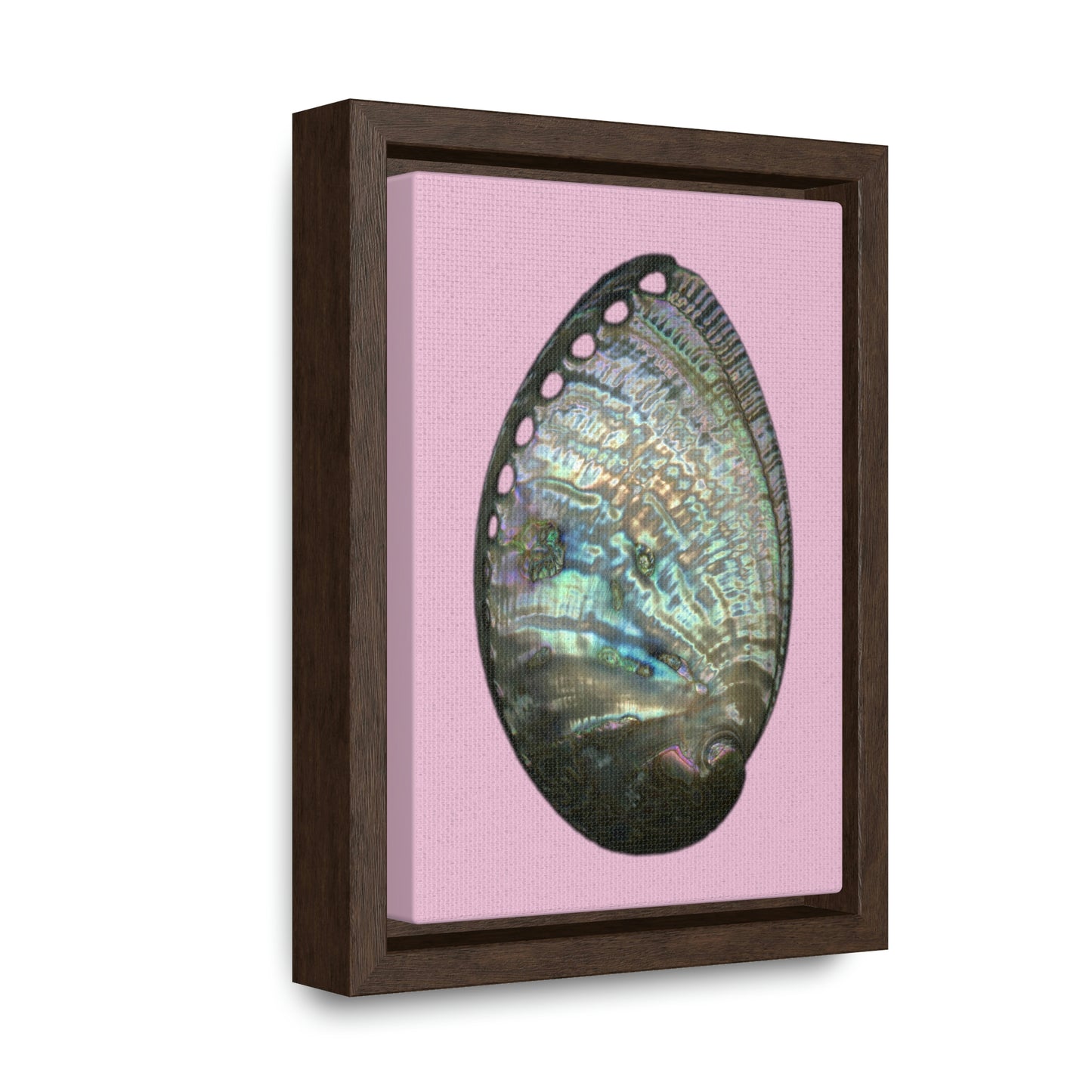 Abalone Shell Exterior | Framed Canvas | Orchid Pink Background