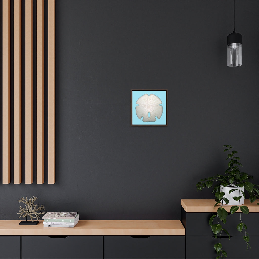 Arrowhead Sand Dollar Shell Top | Framed Canvas | Sky Blue Background