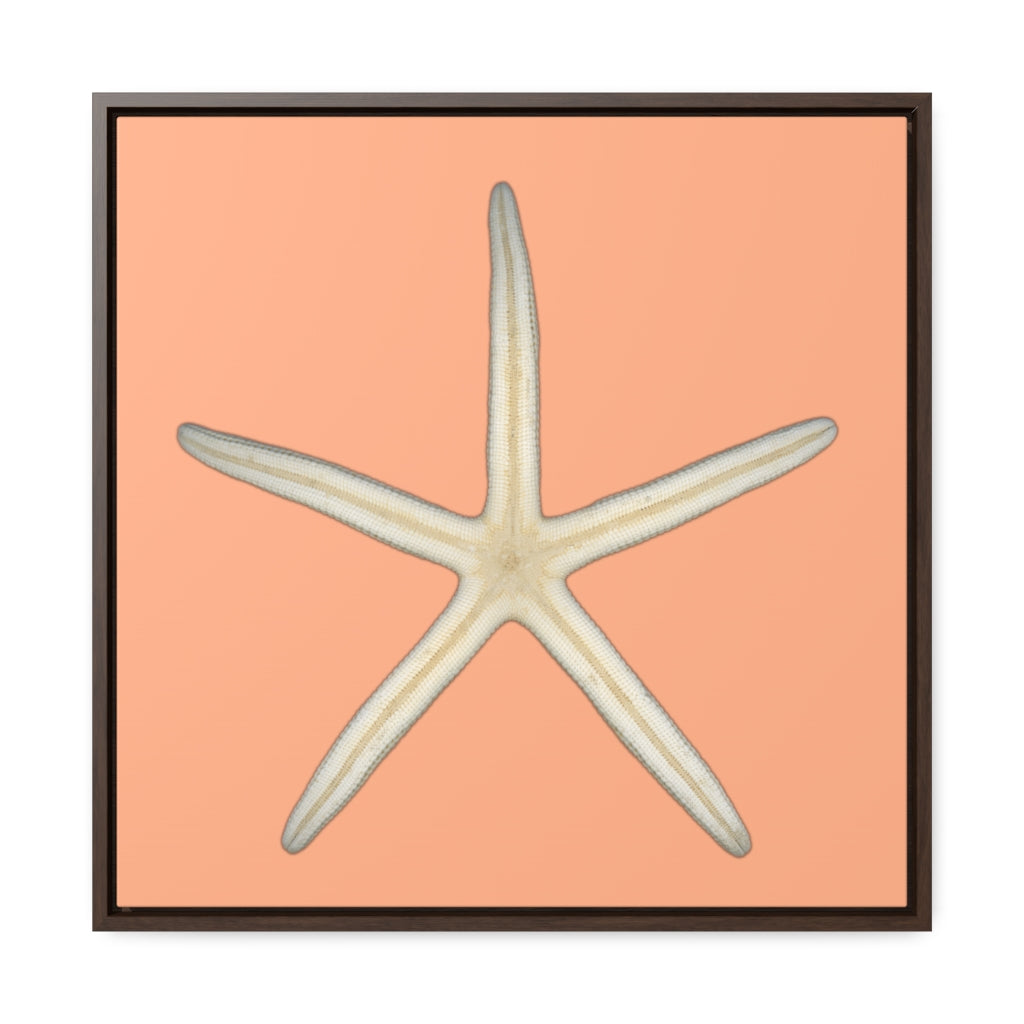 Finger Starfish Shell Bottom | Framed Canvas | Peach Background