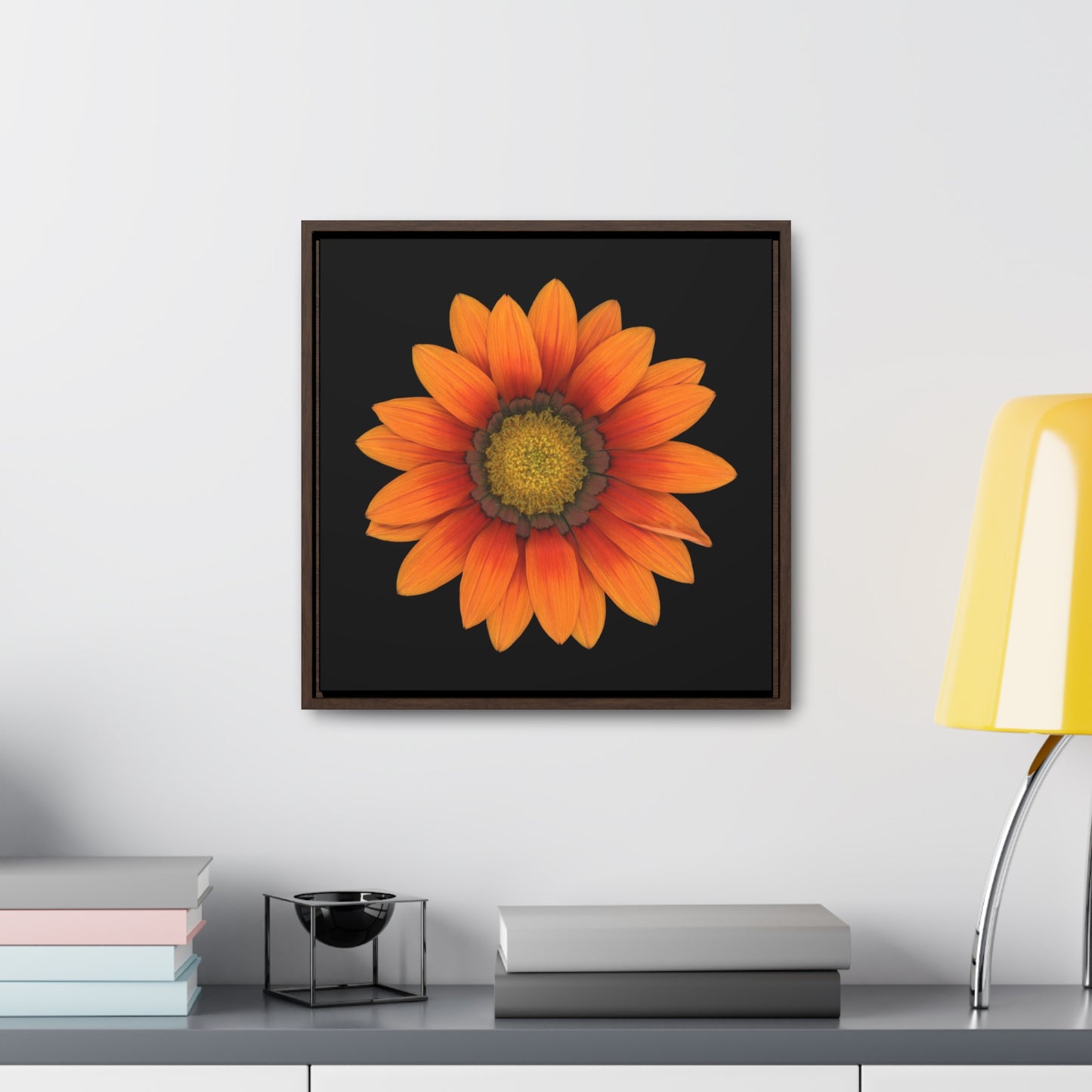 Gazania Flower Orange | Framed Canvas | Black Background