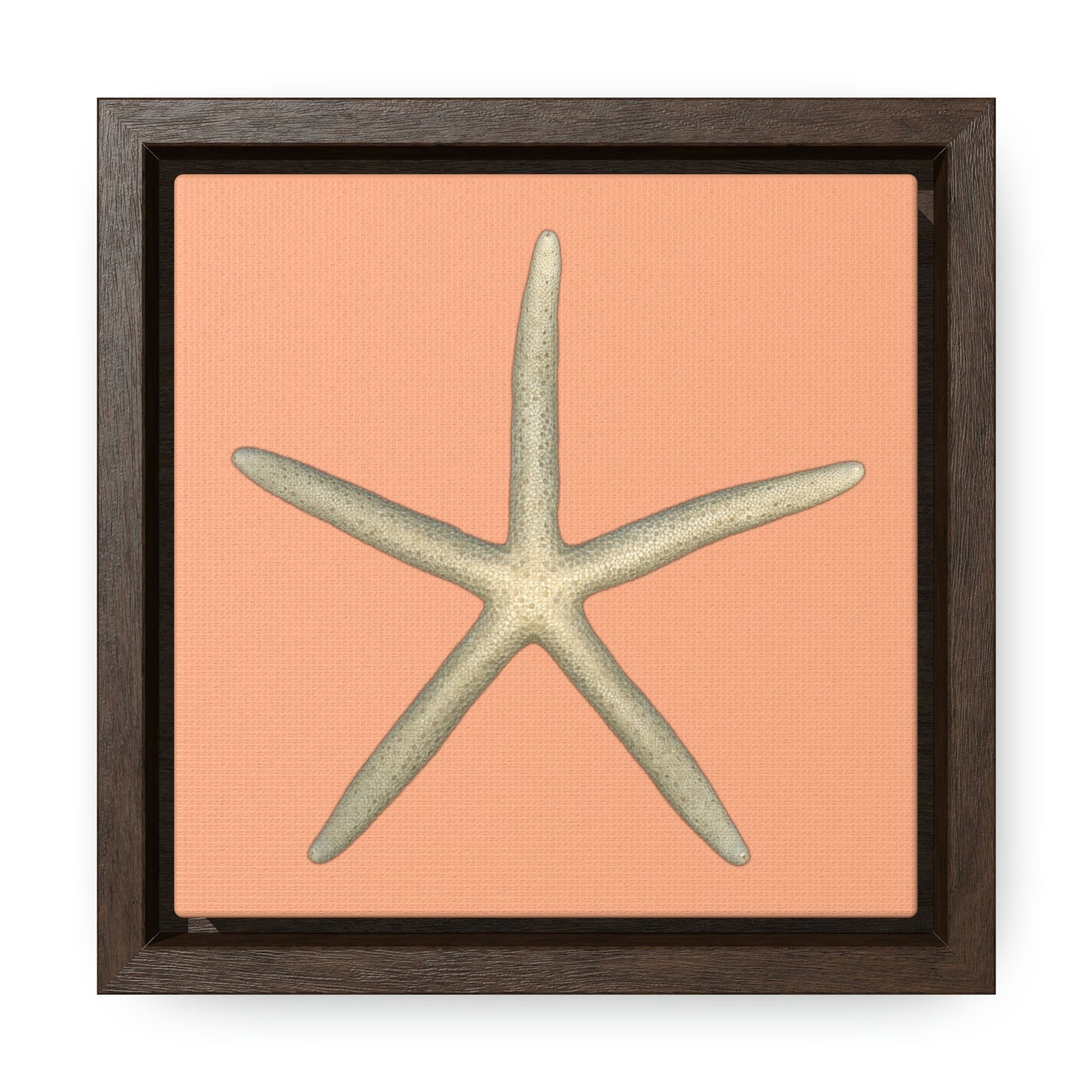 Finger Starfish Shell Top | Framed Canvas | Peach Background