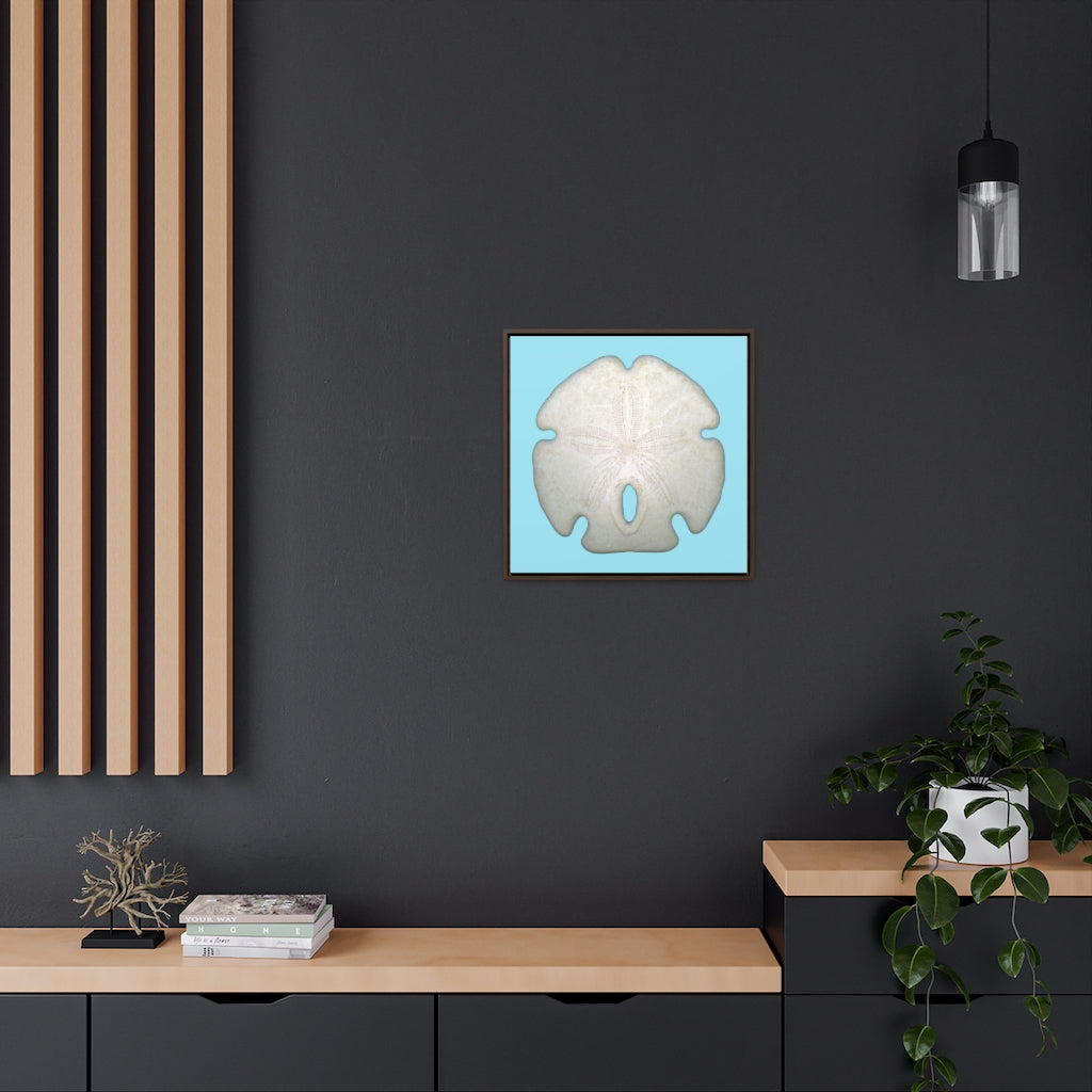 Arrowhead Sand Dollar Shell Top | Framed Canvas | Sky Blue Background