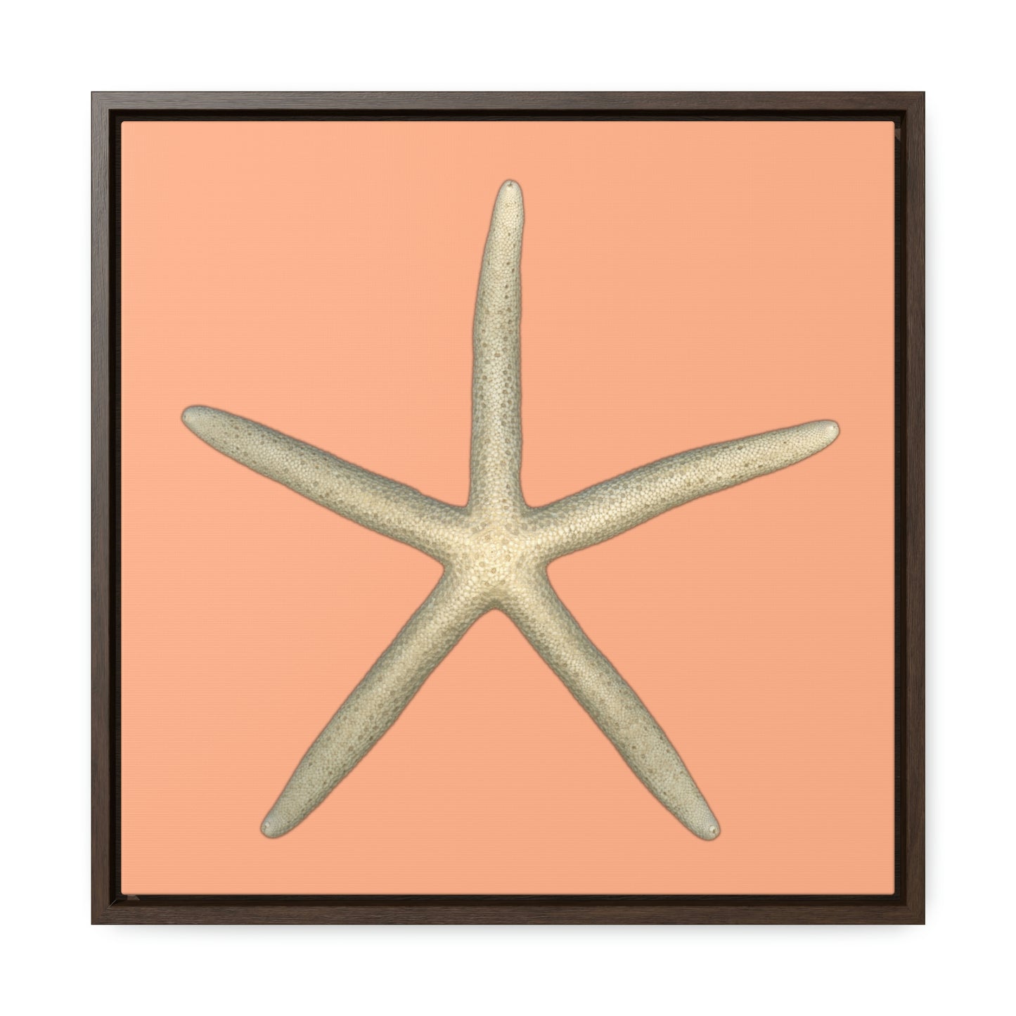 Finger Starfish Shell Top | Framed Canvas | Peach Background